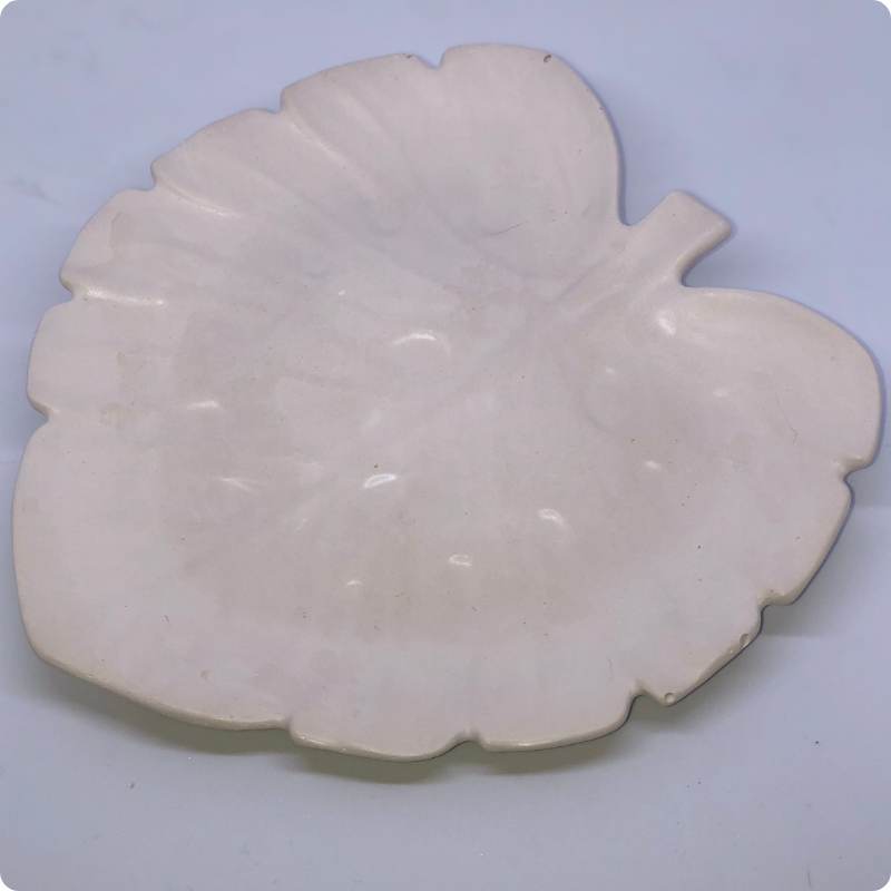 Miska Monstera